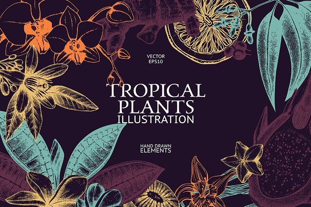 热带植物和花卉矢量图形 Vector Tropical Plants & Flowers插图
