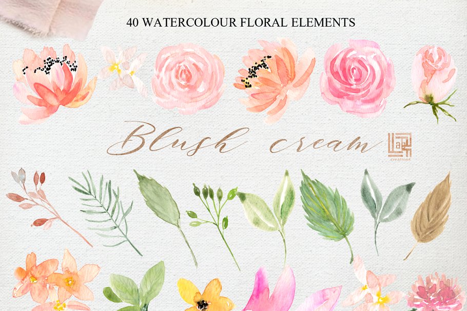 胭脂红水彩花卉水彩 Blush cream. Femenine flowers插图(10)