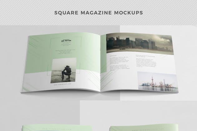 43款个性独家杂志样机模板 43 Magazine Mockups Bundle插图(7)