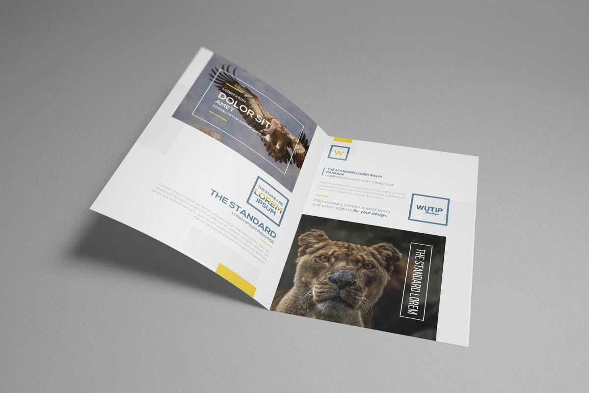 双折页A4规格企业品牌宣传册样机 Bi-Fold A4 Brochure Mockups插图