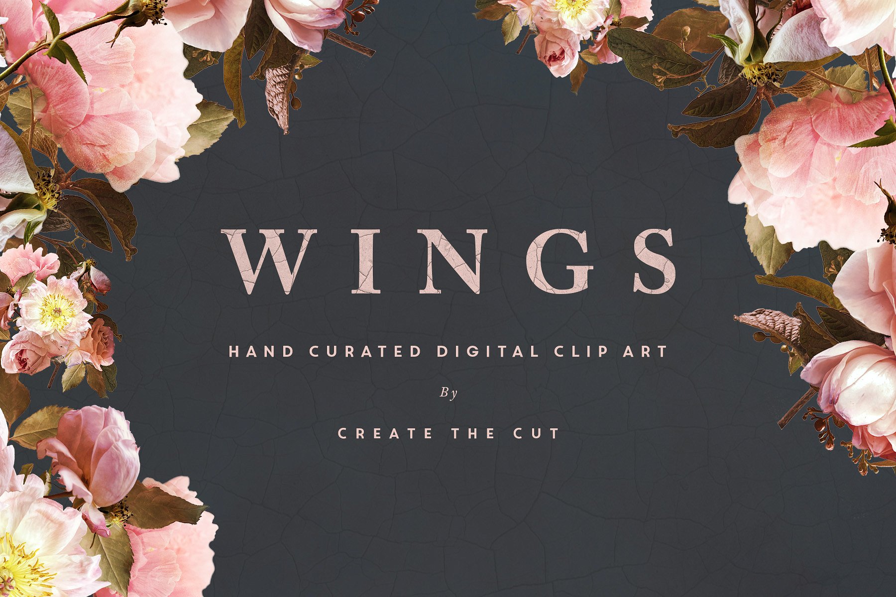 数字手绘粉色绽放牡丹插画 Digital Flower Clip Art – Wings插图1