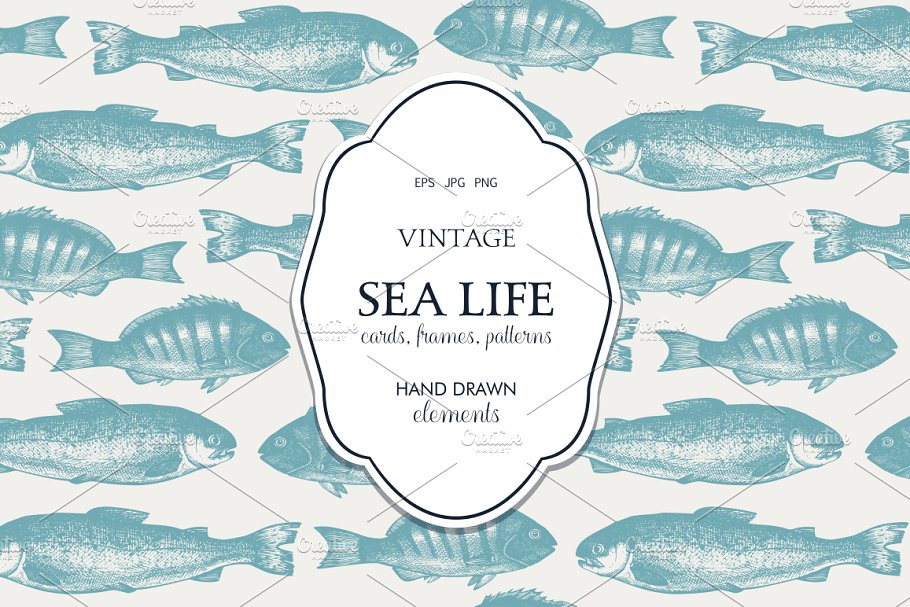 海洋生活矢量图形素材 Vector Sea Life Illustrations Set插图