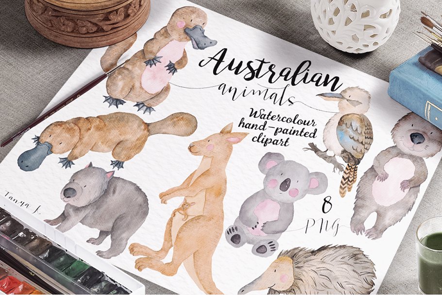 澳大利亚动物水彩剪贴画合集 Australian Watercolor Animals Set插图3