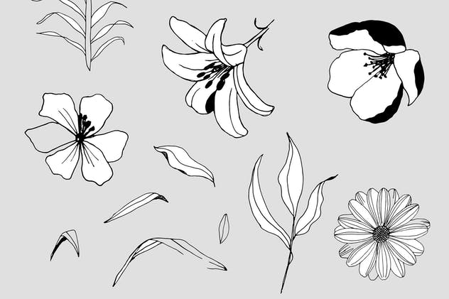 创意手绘花卉插画图案纹理素材 Graphic Flowers Patterns & Elements插图13
