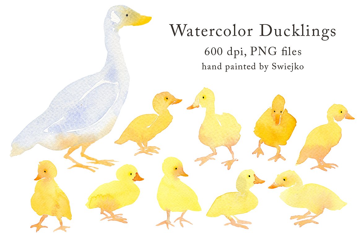 鸭子手绘水彩剪贴画 Country Clipart – Ducklings插图1