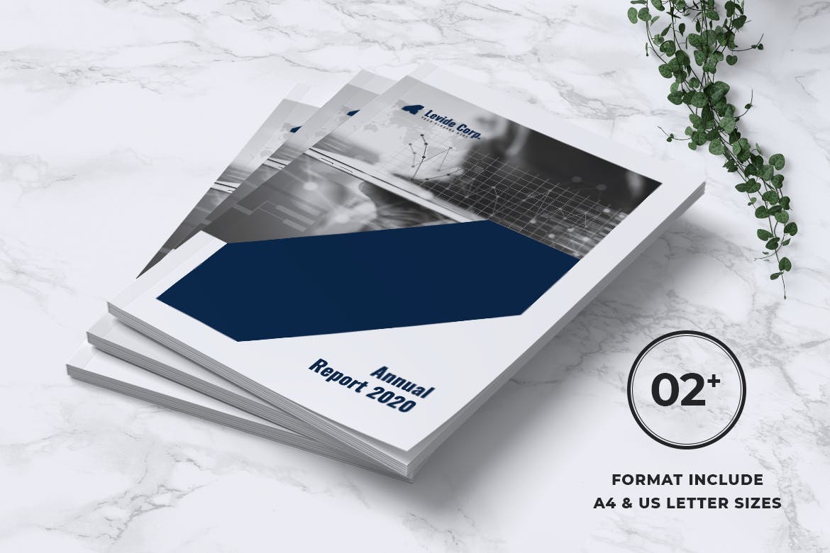 上市公司企业年度报告设计模板 LEVIDE Corporate Annual Report插图(7)