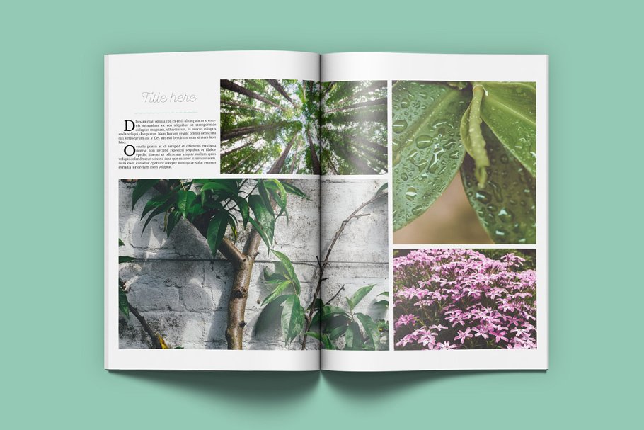 极简主义盆栽景观通用杂志模板 Floral Magazine插图(12)