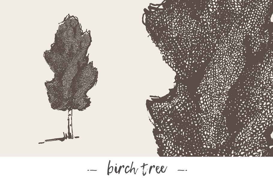 各种树木手绘矢量图形合集 Big collection of high detail trees插图4