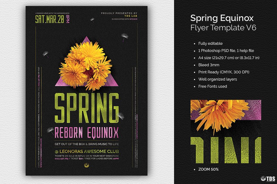 春天花卉元素活动海报PSD模板V6 Spring Equinox Flyer PSD V6插图