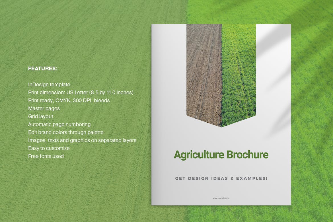 农业农场主题画册设计模板 Agriculture Brochure插图1