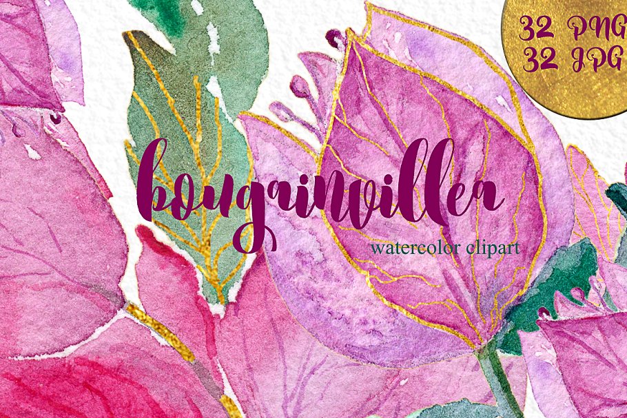 叶子红属&倒挂金钟属花卉水彩剪贴画 Bougainvillea & fuchsia watercolor插图