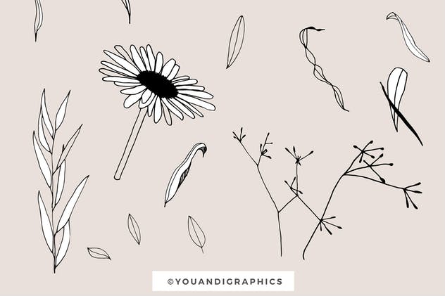 创意手绘花卉插画图案纹理素材 Graphic Flowers Patterns & Elements插图14