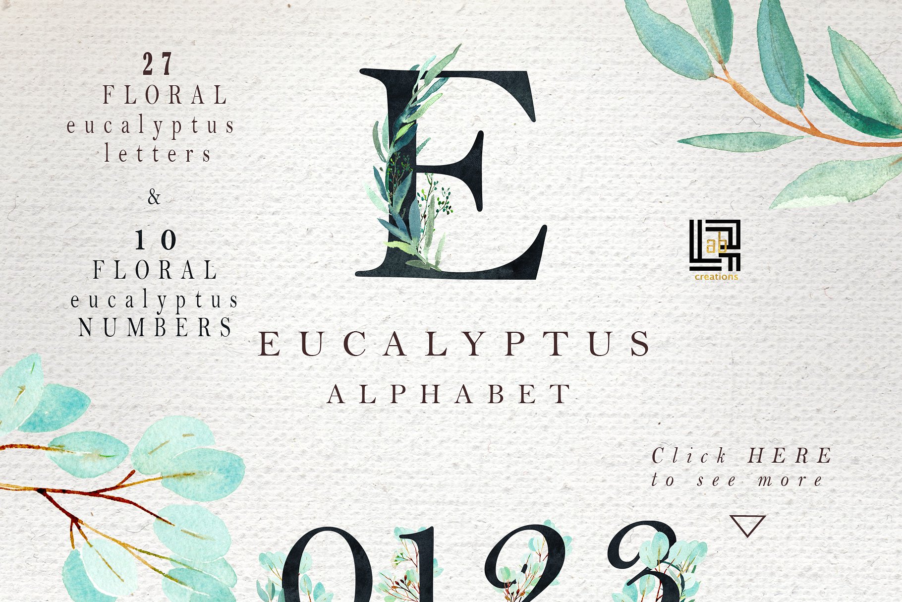 桉树叶水彩剪贴画&水彩装饰字体 Eucalyptus. Watercolor clipart.插图(2)