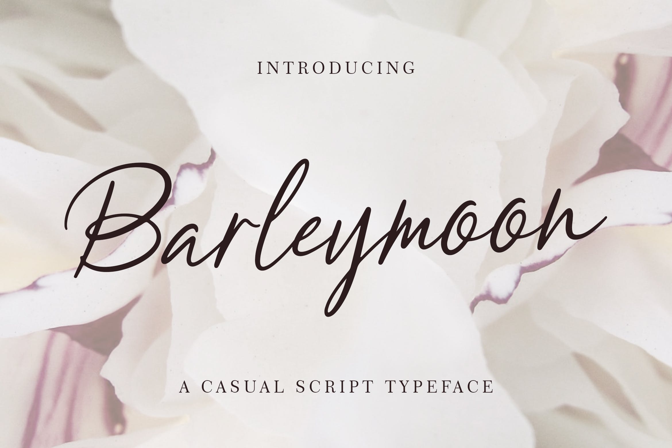 简约优雅英文钢笔书法字体 Barleymoon Beauty Script Font插图