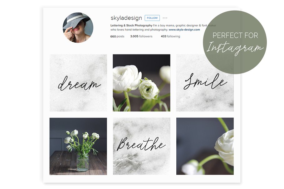 忧郁白花高清照片素材 Moody white flower, Stock photos插图(1)