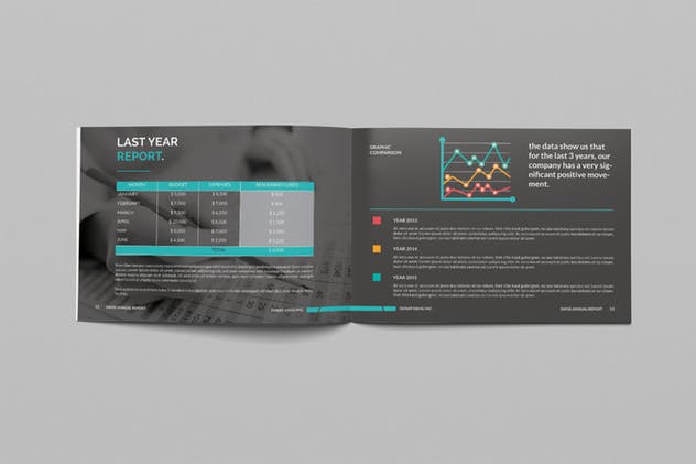 部门/企业/行业年终报告画册设计模板 Annual Report插图6