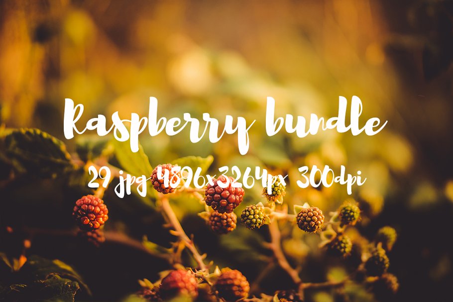清新自然树莓高清图片素材 Raspberry photo pack插图4