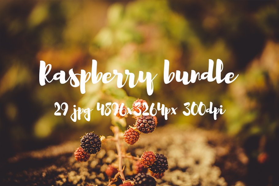清新自然树莓高清图片素材 Raspberry photo pack插图5