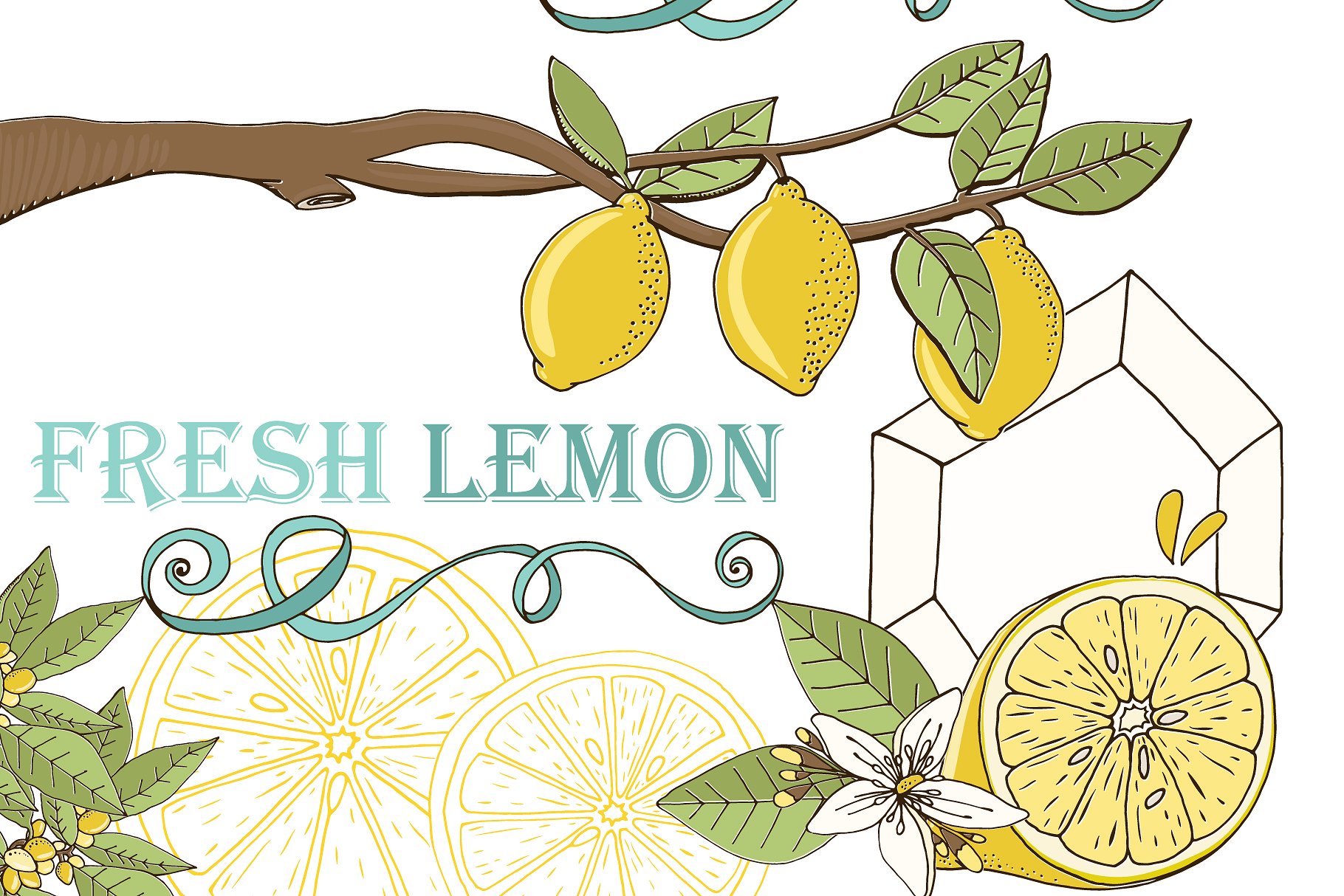 新鲜夏天柠檬插图合集 Lemons, Summer Fruit Illustrations插图(4)