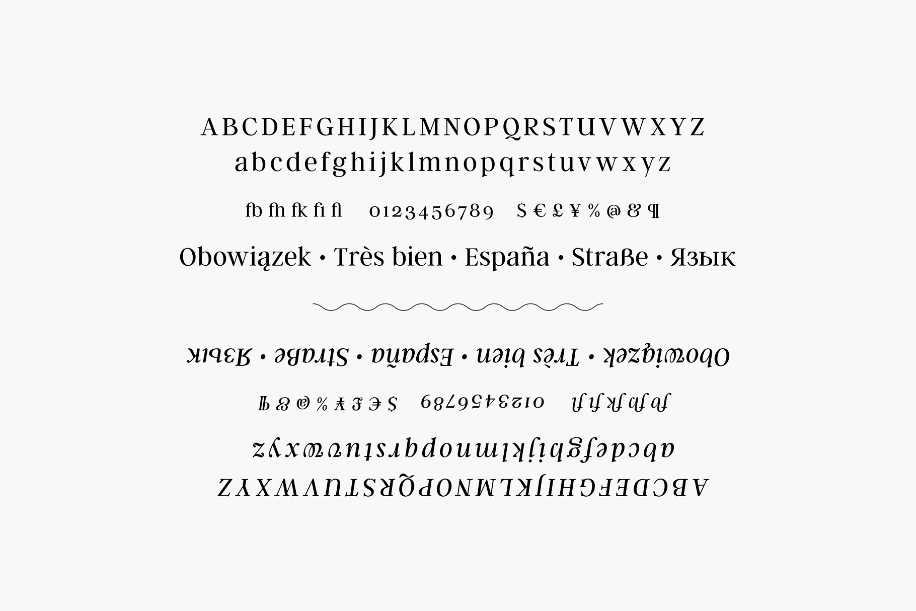 衬线字体 Argent CF: expressive serif font插图(16)