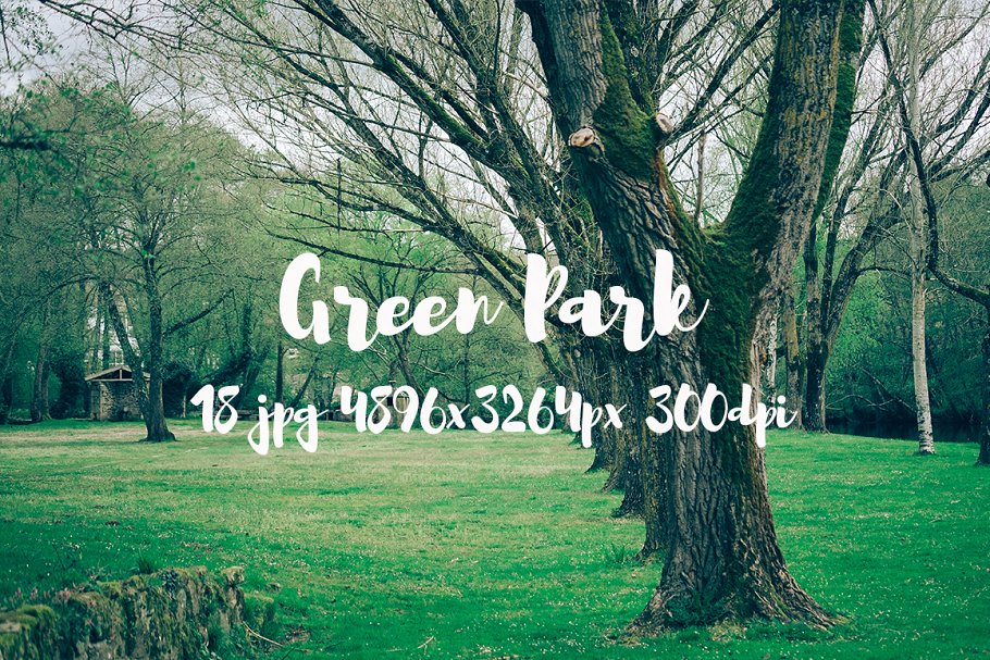 生机勃勃的公园景象高清照片素材 Green Park bundle插图5