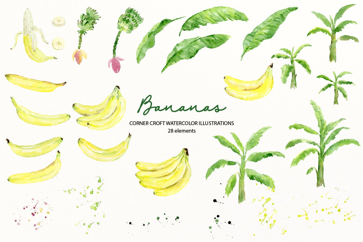 水彩香蕉&香蕉树手绘插画PNG素材 Watercolor Banana Illustration插图1