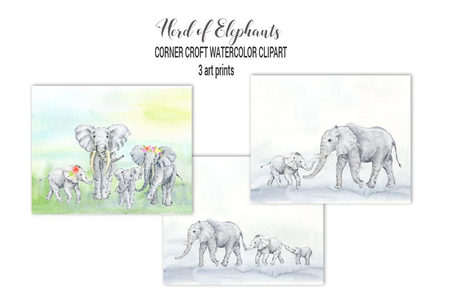 手绘灰白色大象插图 Watercolor Herd of Elephants插图2