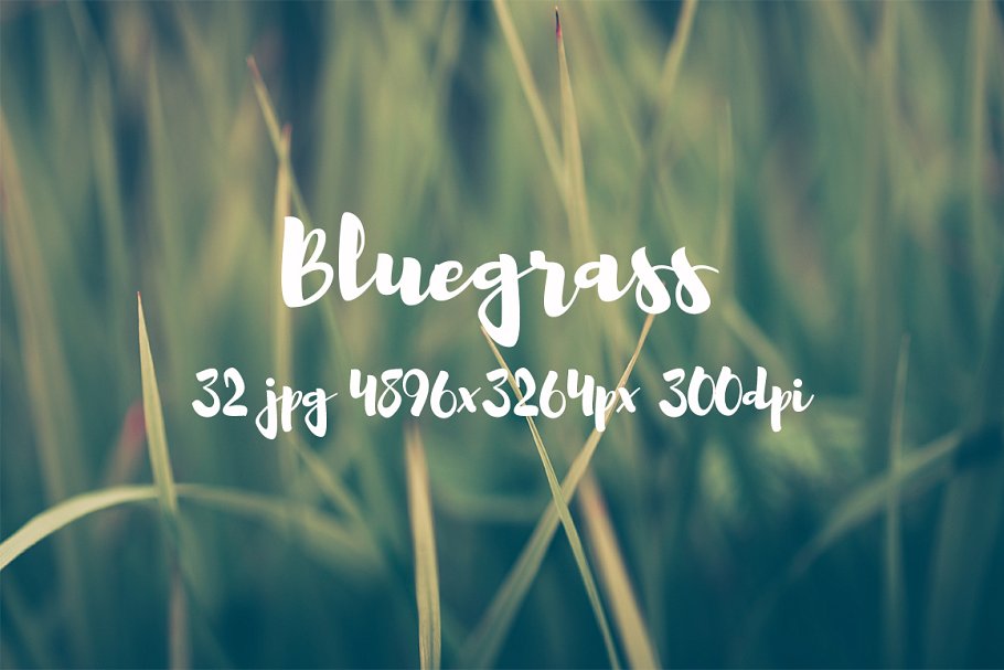 高清绿草照片素材合集 Bluegrass photo pack插图(7)
