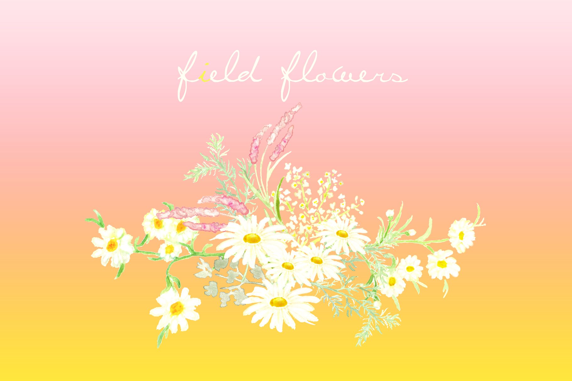 手绘水彩白色雏菊野花剪贴画 Field Flowers watercolor clip art插图2