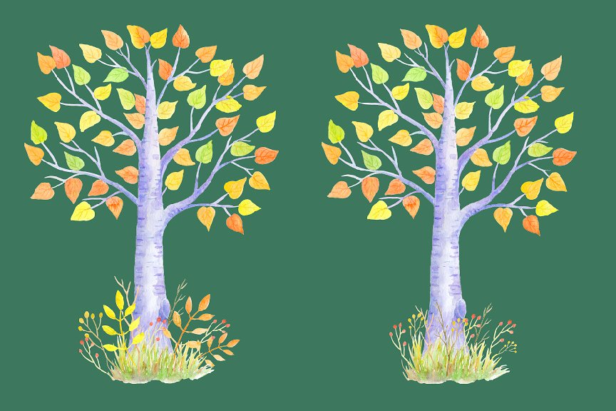 水彩秋季桦木客人签名树插画 Autumn Birch Guest Signing Tree插图1