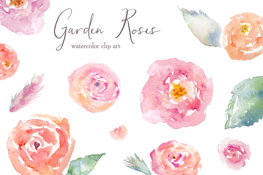花园玫瑰水彩剪贴画 Garden Roses Watercolor Clip Art插图