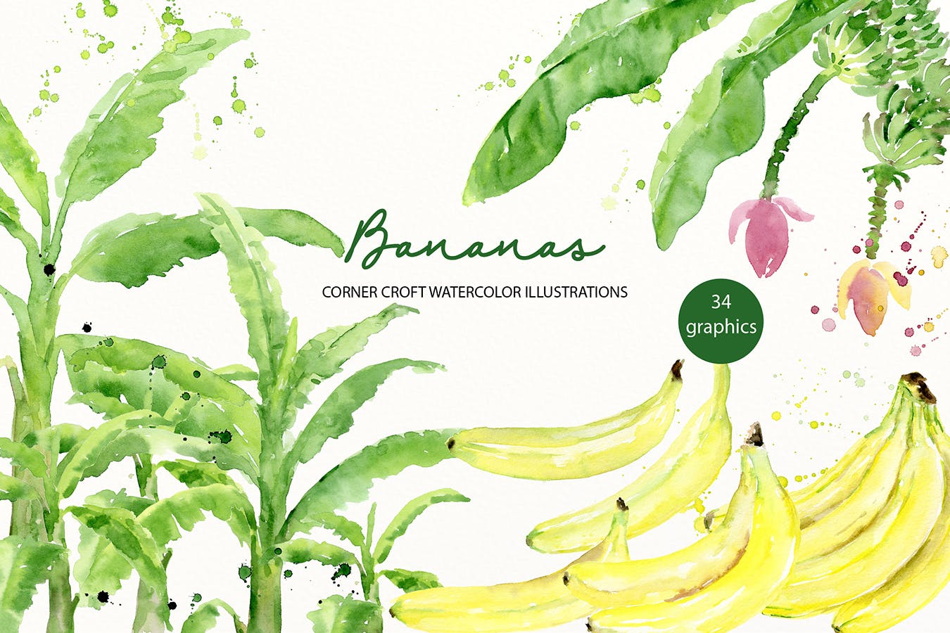 水彩香蕉&香蕉树手绘插画PNG素材 Watercolor Banana Illustration插图