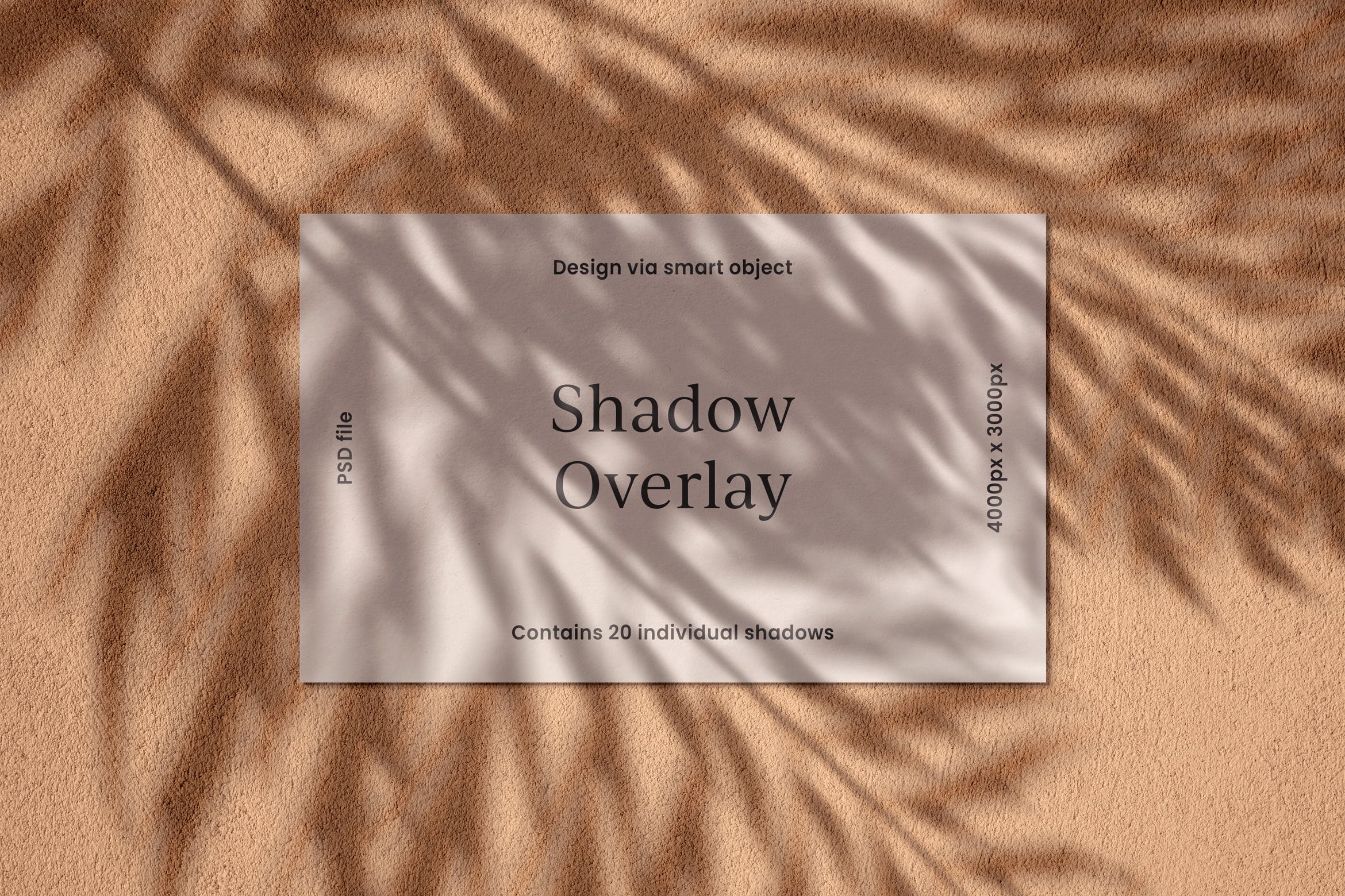 逼真植物阴影背景样机合集 Realistic Shadow Mock-Up Collection插图