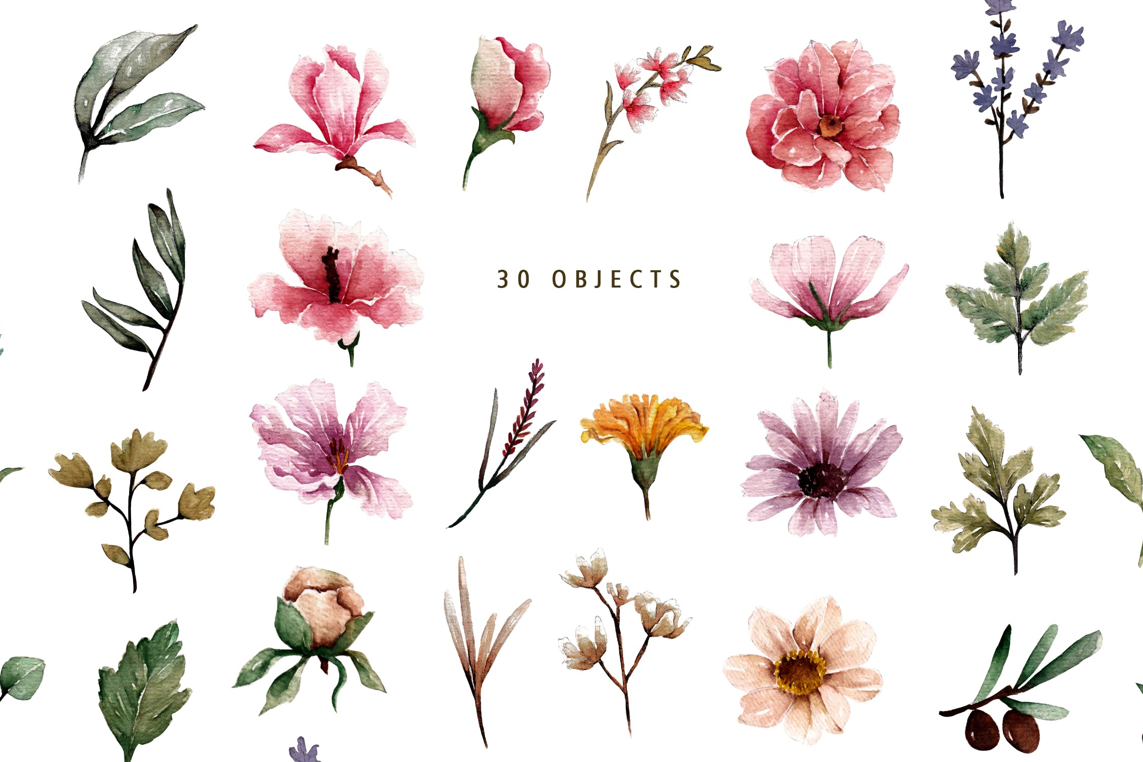植物花卉水彩手绘图案纹样背景设计套装 Floral Botanical Watercolor Set插图(5)
