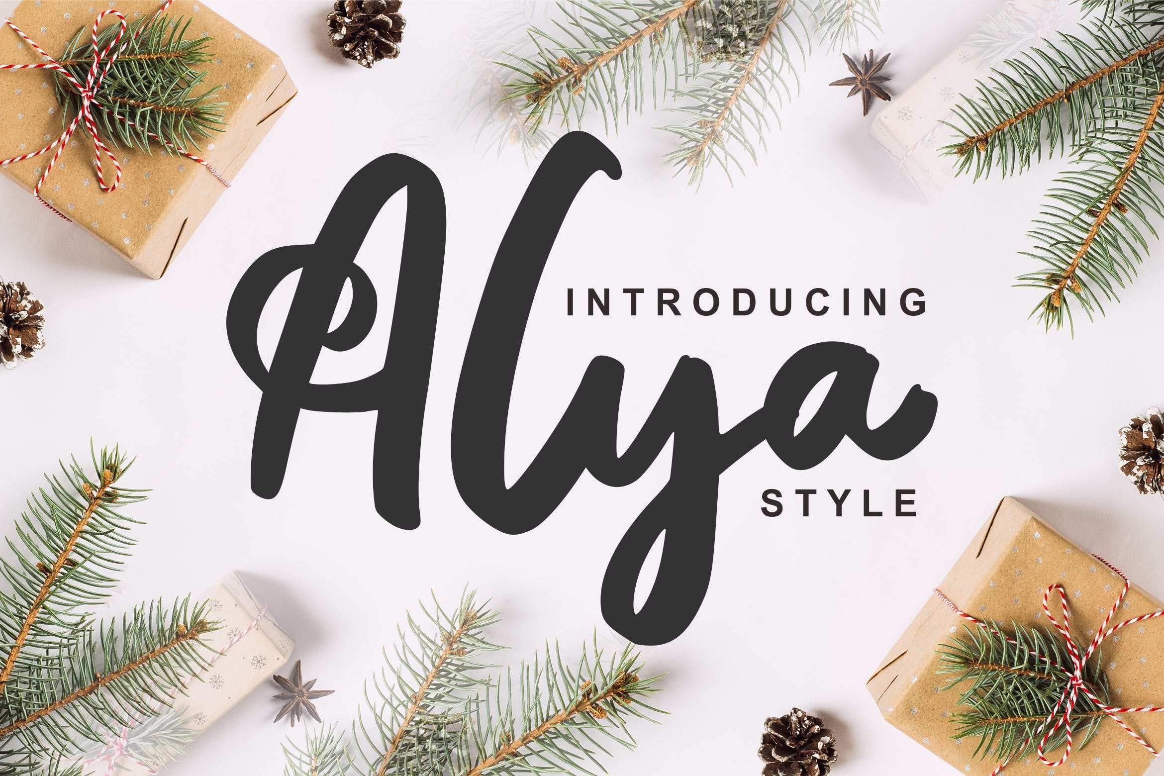 笔刷书法风格英文手写字体 Alya | Brush Style Font插图