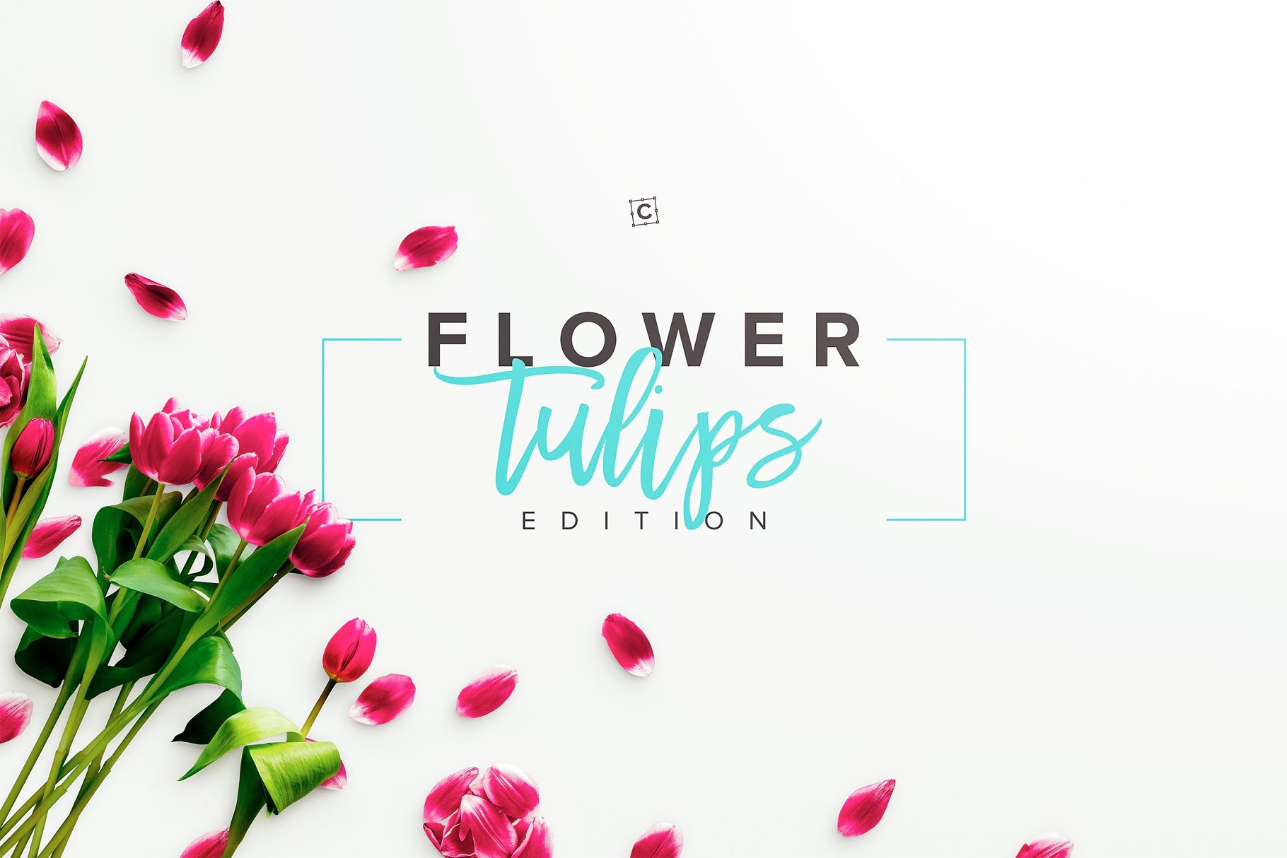 郁金香花卉场景样机 Flower Tulips Edition – Custom Scene[1.18GB]插图(3)