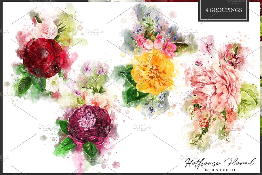数码绘制温室花卉设计素材包（独立花卉元素&花式字母数字） Hothouse Floral Design ToolKit插图(4)