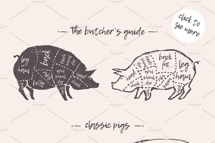 钢笔素描猪图形 Illustrations of pigs, piglets & etc插图(1)