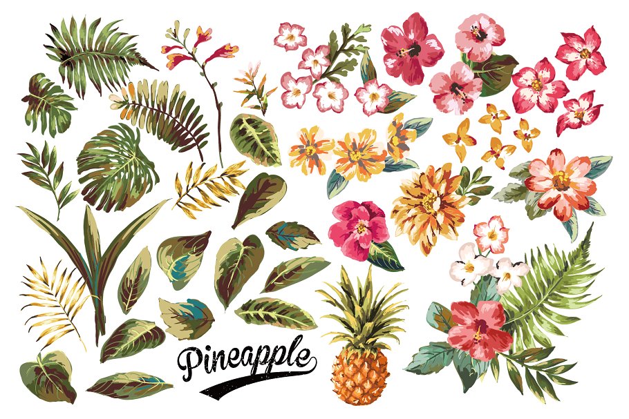 热带雨林植物花卉图案无缝纹理v2 Seamless tropical patterns Vol.2插图(2)
