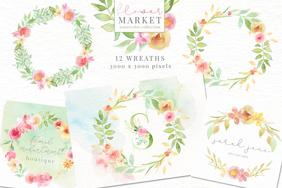 花卉市场水彩素材收藏[1.15GB] Flower Market Watercolor Collection插图(2)