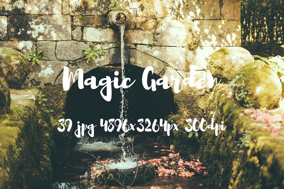 秘密花园花卉植物高清照片素材 Magic Garden photo pack插图(20)