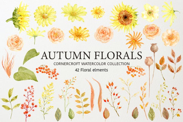 秋天花卉水彩绘画艺术设计素材 Watercolor Autumn Florals Collection插图(1)