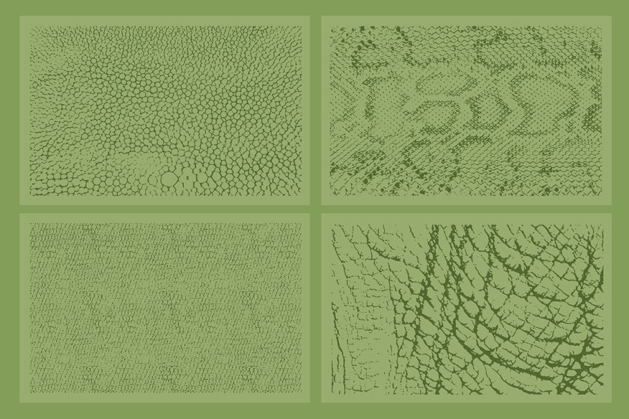 20种动物皮肤纹理 20 Animal Skins Textures – VES11插图2