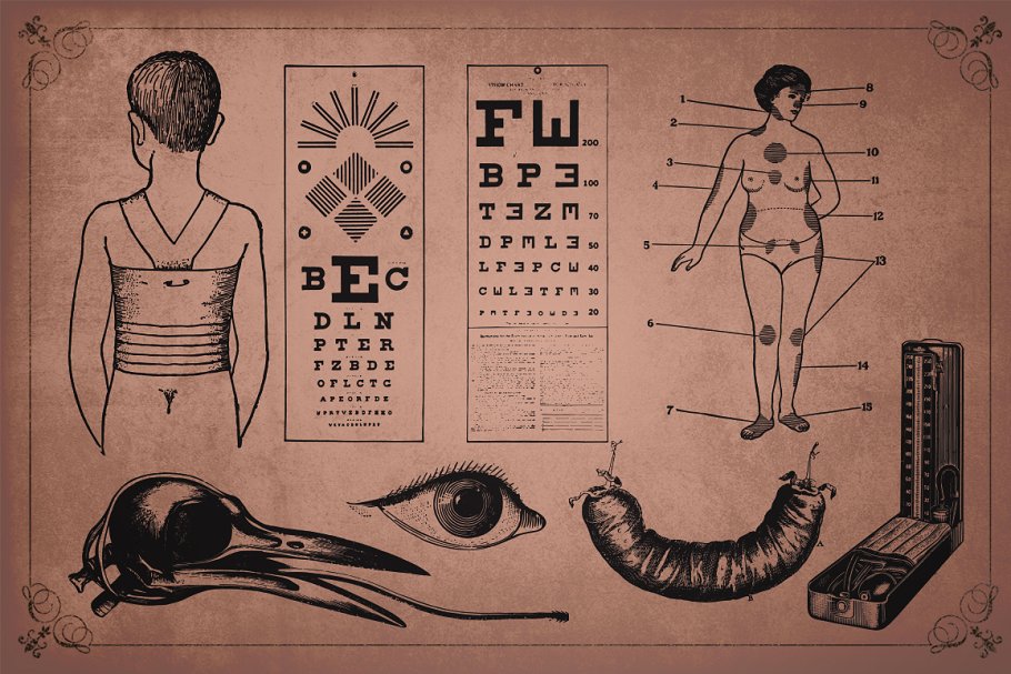 旧时代解剖医学插图素材 Medical Art | 110 EPS, PNG and JPG’s插图5