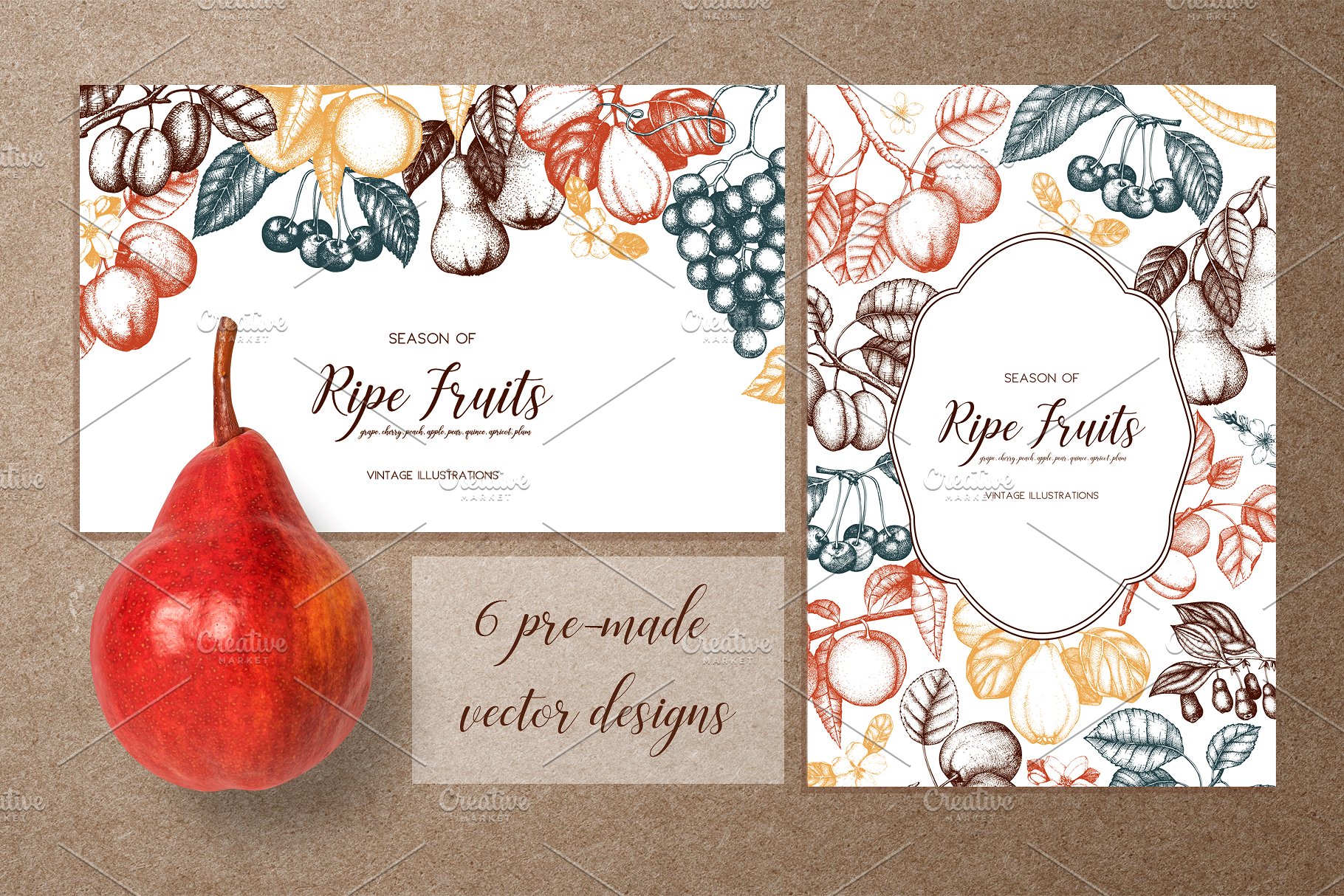 成熟水果矢量插图 Vector Ripe Fruits Illustrations插图(3)