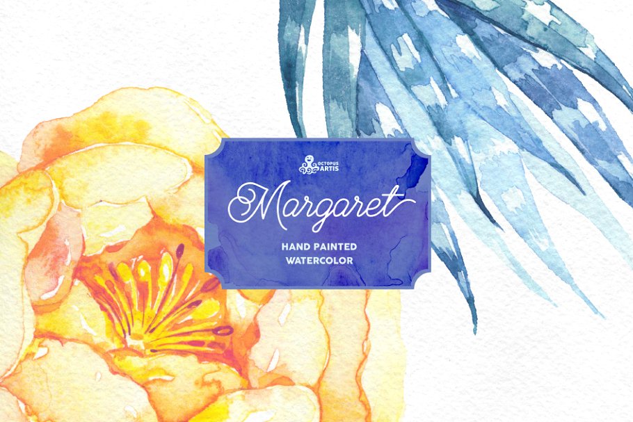 玛格丽特水彩花卉插画 Margaret. Watercolor flowers插图3
