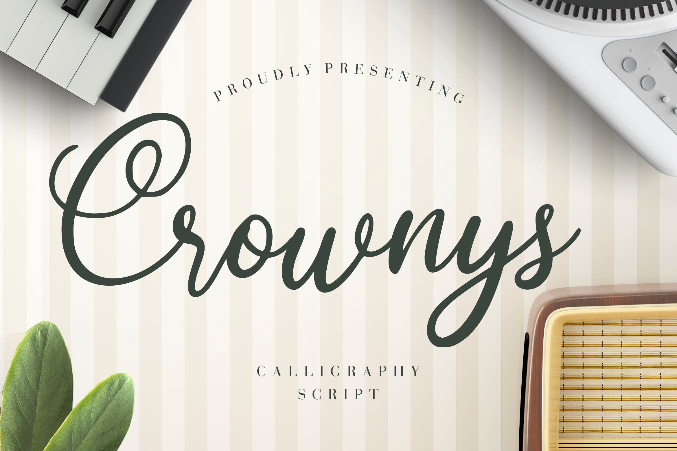 非常适合品牌设计的优雅风格英文书法字体 Crownys Calligraphy Script插图
