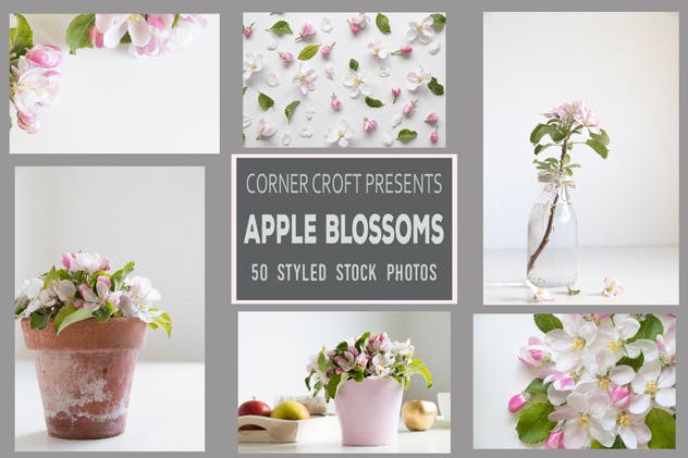 盛开的苹果花主题照片合集 Apple Blossom Styled Stock Photo Bundle插图(1)