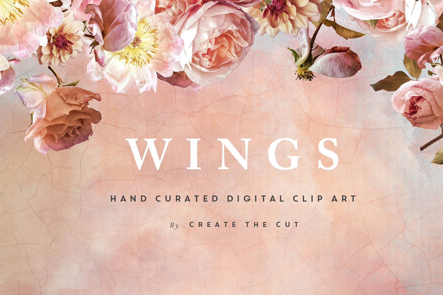 数字手绘粉色绽放牡丹插画 Digital Flower Clip Art – Wings插图7
