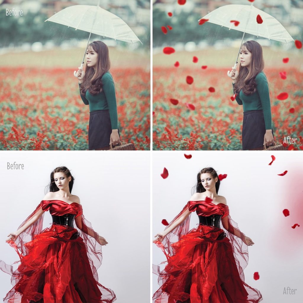 30个创意照片玫瑰花瓣叠加层素材下载[png]插图1